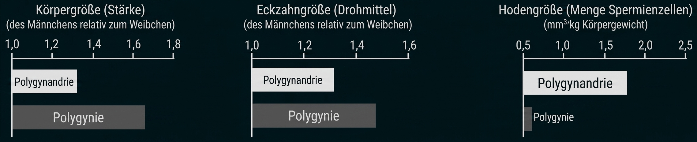 Diagramm zu Körpergröße, Eckzahn- und Hodengröße bei Polygynie und Polygynandrie